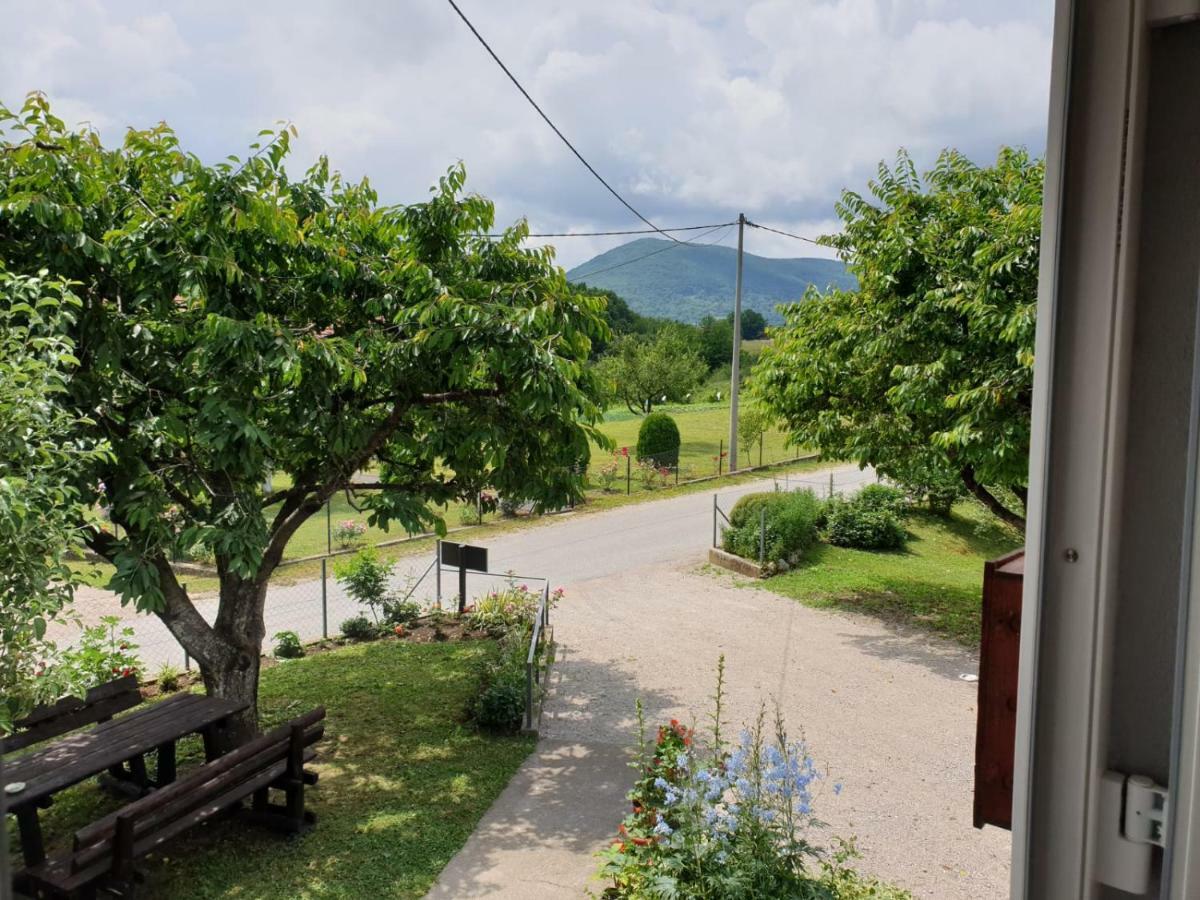 Apartman Laura Smoljanac Εξωτερικό φωτογραφία
